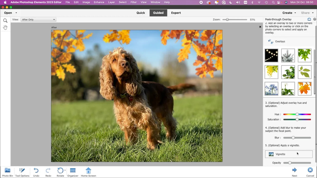 Adobe Premiere Elements 2023 – Perpetual License (1 MAC)