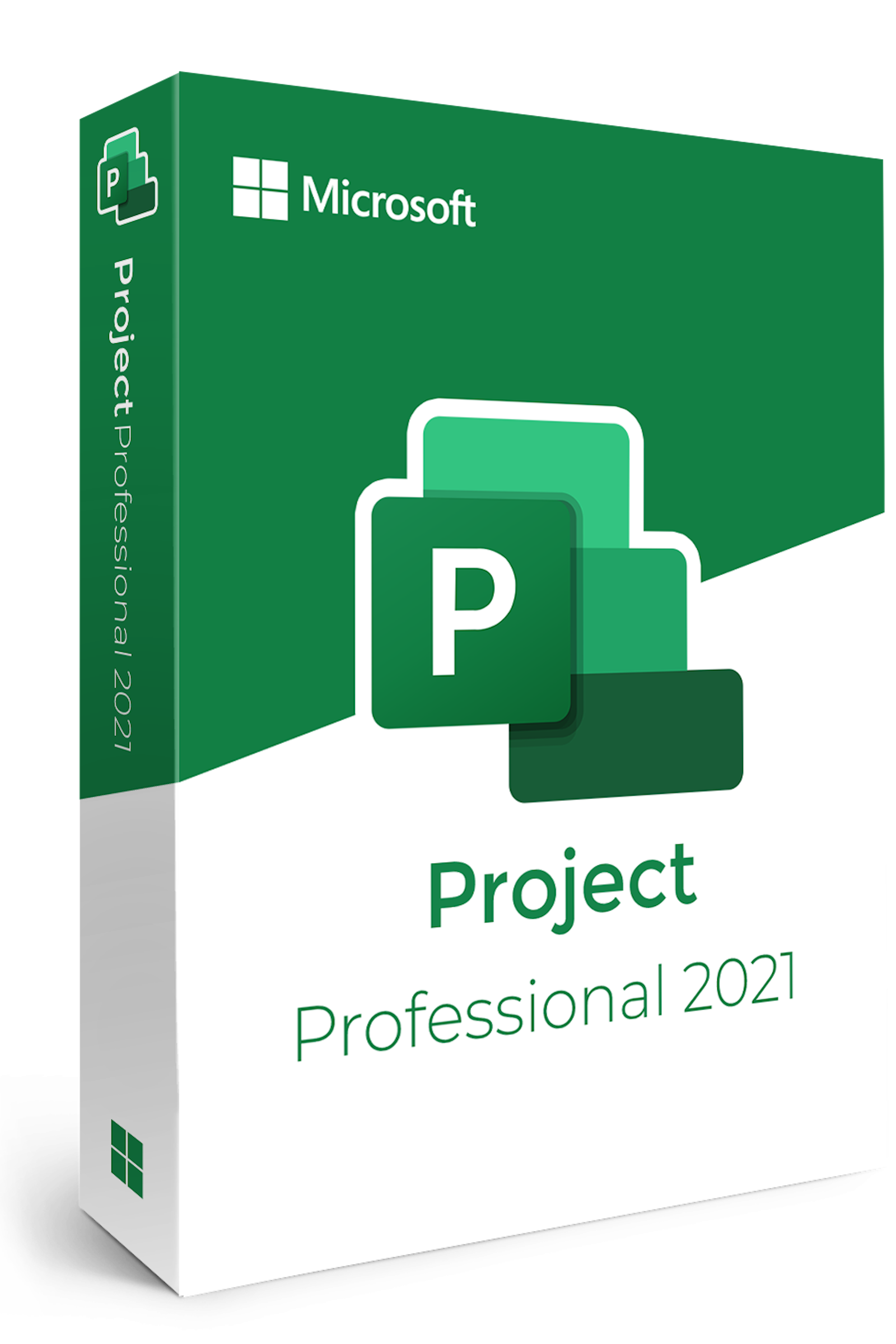 Project Professional 2021