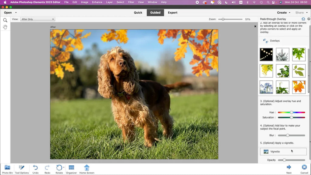 Adobe Premiere Elements 2023 – Perpetual License (1 MAC)
